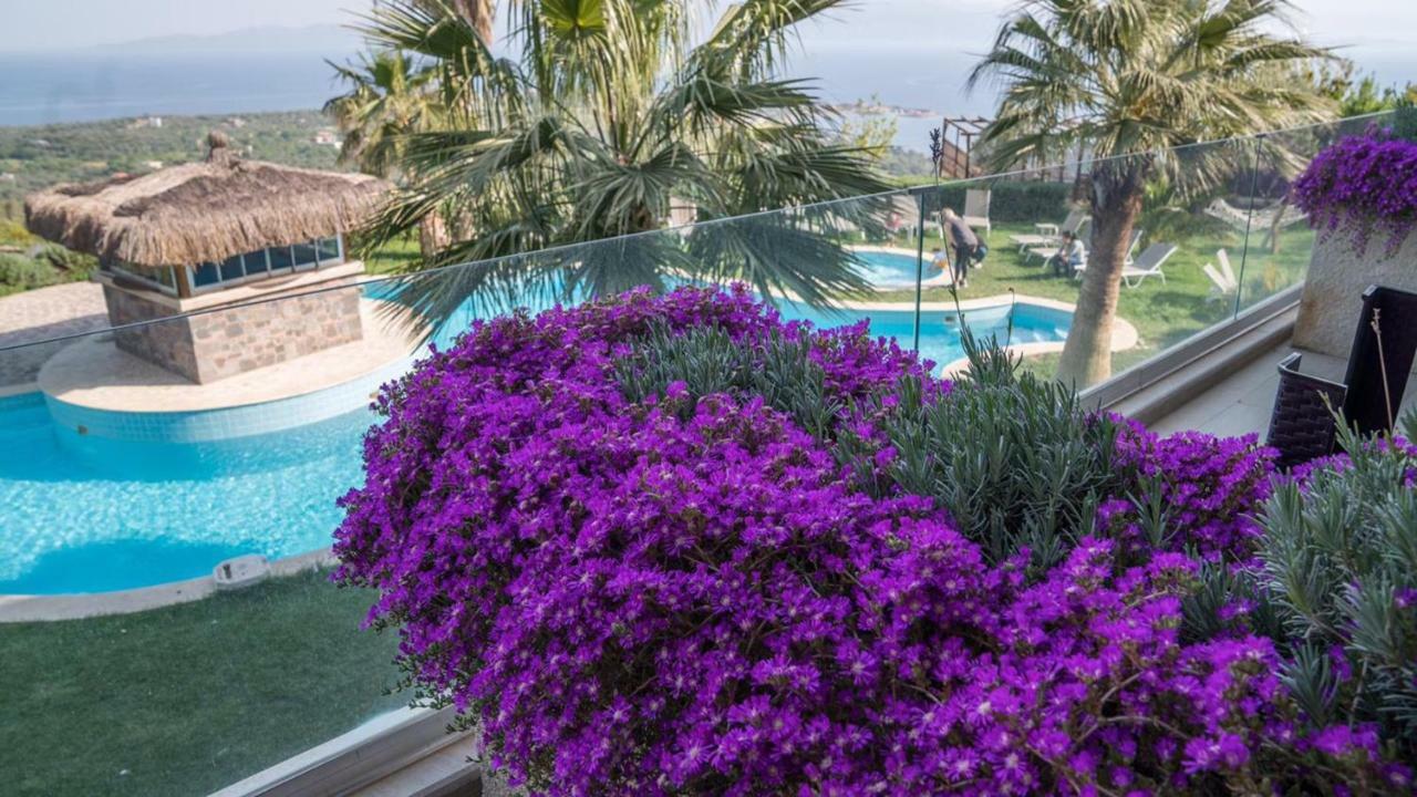 Assos Alis Farm Boutique Hotel&Spa Extérieur photo