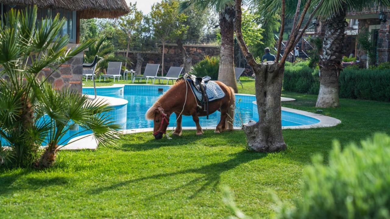 Assos Alis Farm Boutique Hotel&Spa Extérieur photo