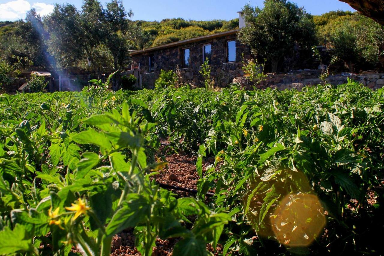 Assos Alis Farm Boutique Hotel&Spa Extérieur photo